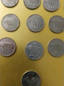 Rhino  Total 13coin Series 1988 Year To 2000yr Best For Historical Knowledge 🥳🥳🥳