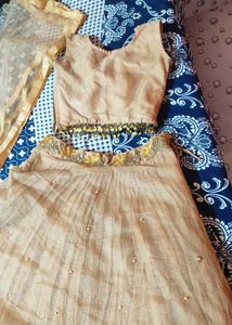 Beautiful Net Lehenga