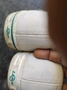 Girls White Canvas Shoes