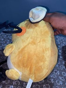 Raichu Pokemon