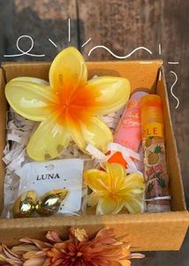 Cute Flower Hair Clips &amp; Lip Gloss Set