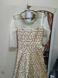Party Wear Gown With Net Neck
