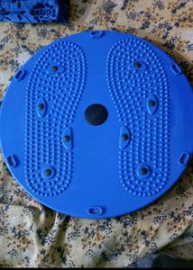 Blue Twister Fitness Board
