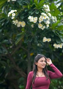 Stylish Maroon Cropped Top