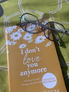 I Don't Love You Anymore by Rithvik Singh