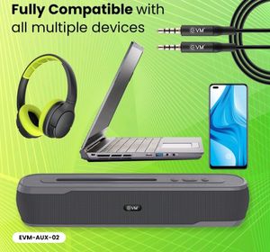 EVM 3.5mm AUX Cable