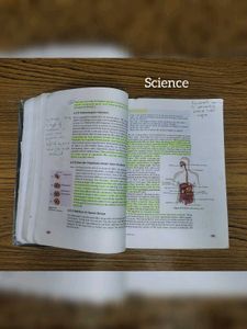CBSE Class 10 NCERT Full Set (All Subjects)