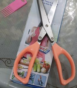 5 Blade Stainless Stell Herb Scissors