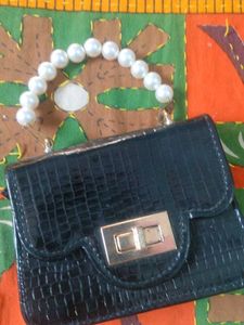 Chic Black Mini Bag