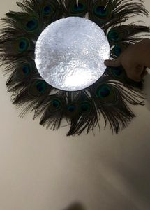 Peacock Feather Wall Decorative Item Use In Photo