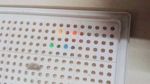 Mosaic Pegboard Toy