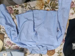 cropped blue shirt