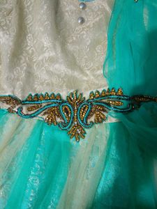 Beautiful Ethnic Gown