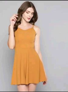 Mustard Yellow Fit & Flare Dress