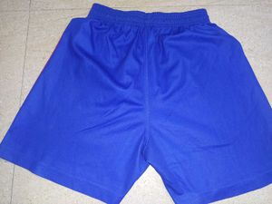 Blue &amp; Red Shorts