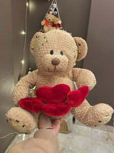 Cute Teddy Bear with Hearts ( Valentine Special)