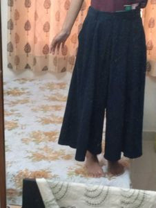 Stylish Wide Legged Pants