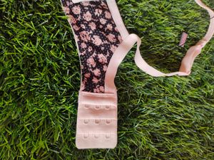 38Bsize Bra