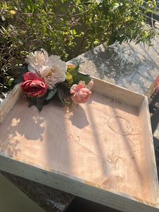 Set of 2 Trays - New and Multi Purpose