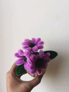 Cute Pipe Cleaner Flower Pot