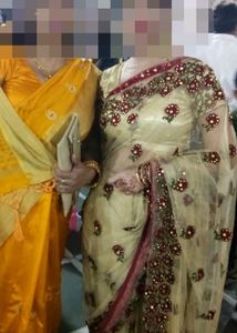 Embroidered Net Saree (ready to wear)