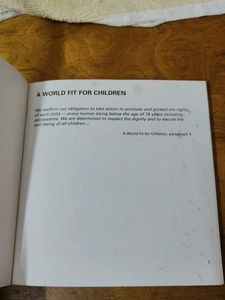 A World Fit for Children Book