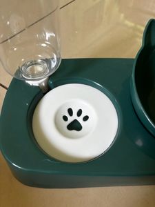 Cat Food &amp; Water Dish