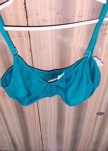 BRAND NEW BRA(36)