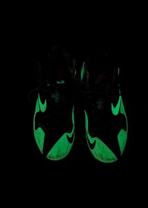Nike Lebron Sneakers