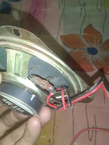 Speaker