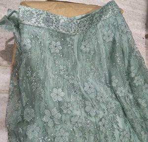 Mint Green Embellished Lehenga Choli