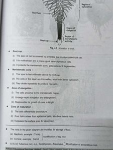 Zoology &amp; Botany Diagrams