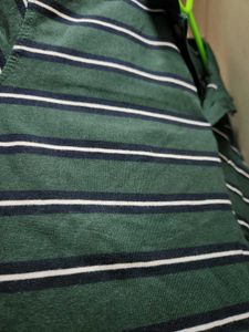 Striped Polo Shirt