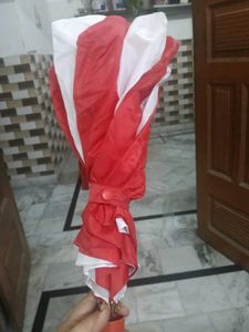 Red and White Umbrella