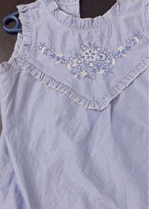 Embroidered Sleeveless Blue Top