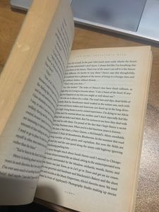 The Time Traveler's Wife by Audrey Niffenegger
