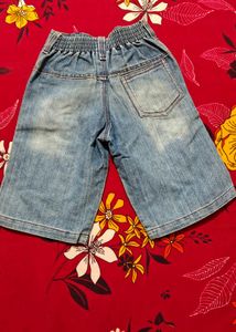 Stylish Denim Shorts with Embroidery