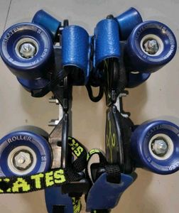 Blue Roller Skates