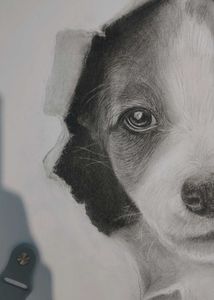 Cute Puppy Pencil Sketch