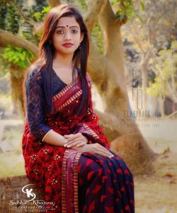 Beautiful Net Saree