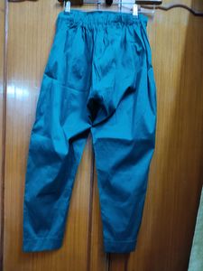 New Tafeta Silk Lower