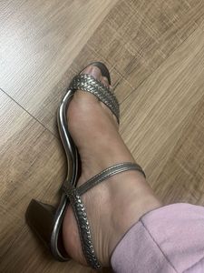 Elegant Silver Heels