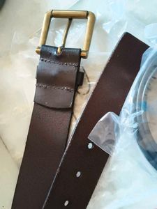 Classic Leather Belt with Gold Buckle