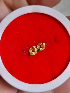 Beautiful New Ring Type Earrings Small