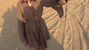 Belted A line dress