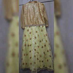 Designer Sequined Lehenga Choli