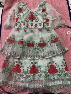 Embroidered Lehenga Choli Set