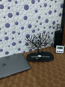 Tree Jewelry Holder