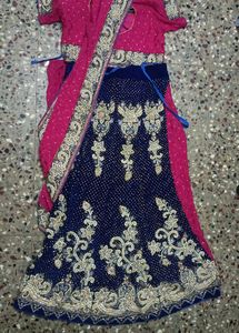 Embroidered Lehenga Saree (Tie-up)
