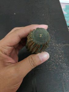 Acupressure Wooden Karela